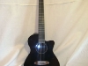 Carruthers Nylon String Electric